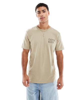 Calvin Klein Jeans Est.1978 Ombre Box Back Print T-shirt In Neutral
