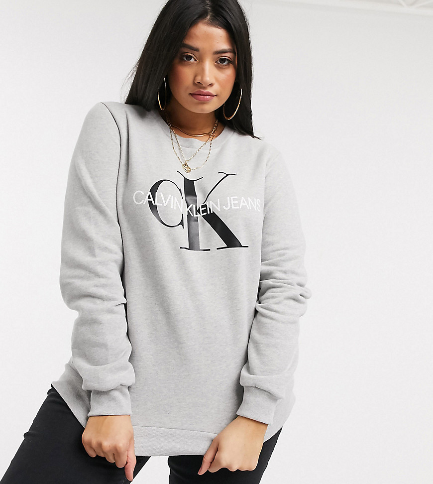 Calvin Klein Jeans Plus - Reissue - Sweatshirt med logo-Grå