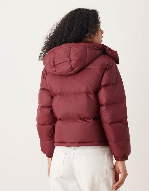 Calvin Klein Jeans short hooded puffer jacket with high neck in burgundy, 4 of 4