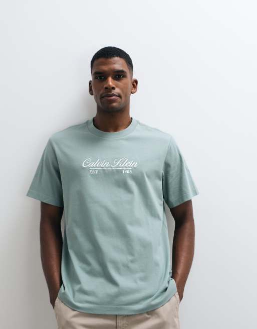 Calvin Klein Jeans – T-Shirt in Pistaziengrün mit mittigem Schriftzug, 2 von 5