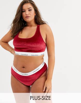 calvin klein velvet bra