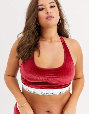 pink velvet calvin klein bra