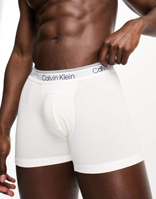  Calvin Klein Calzoncillos tipo bóxer elásticos de algodón para  hombre, paquete de 7, 7 Blanco : Ropa, Zapatos y Joyería