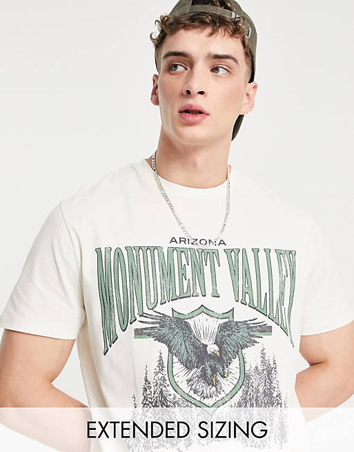 Hombre Other | Camiseta beis holgada con estampado universitario de naturaleza en el pecho de ASOS DESIGN - YU50566
