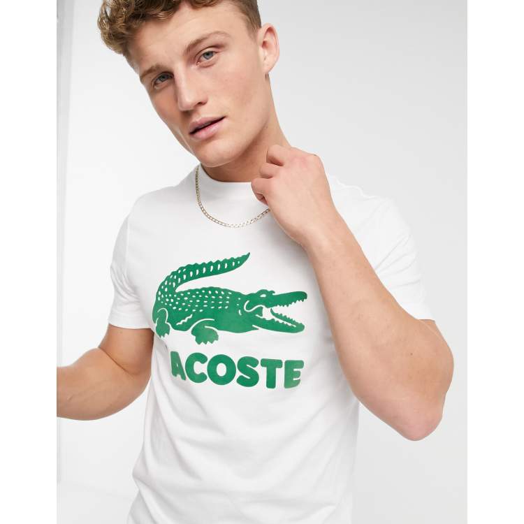 Camisetas Lacoste Hombre  Camiseta de hombre de algodón con cocodrilo  bordado y cuello redondo Blanco « Portelamor