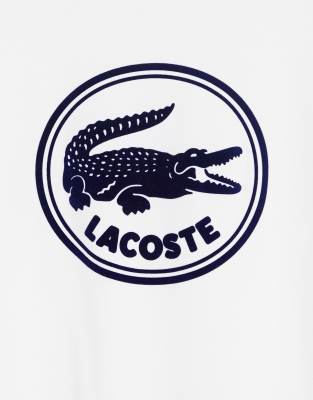 lacoste logo bordado