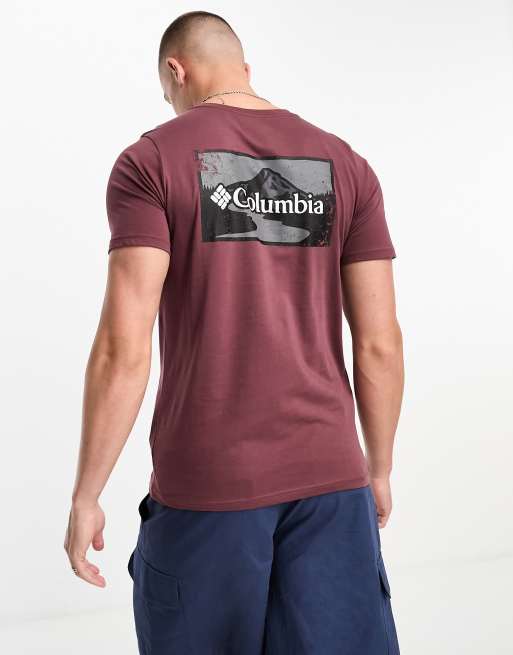 Camiseta marrón con estampado gráfico en la espalda Rapid Ridge exclusiva en ASOS de Columbia