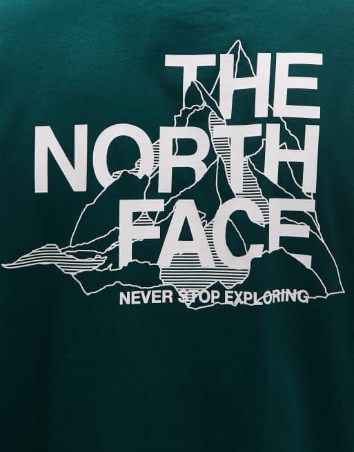 Camiseta verde oscuro extragrande con estampado de montaña delineada en la espalda de The North Face, 5 de 5