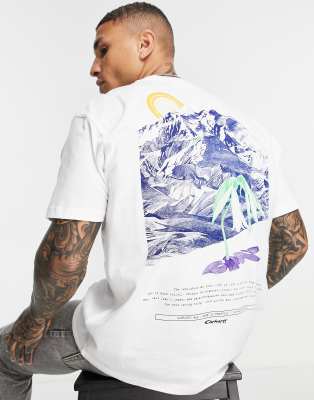 Carhartt WIP Carhartt WIP mountain back print t-shirt in white