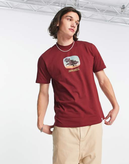 Carhartt WIP – Seeds – T-Shirt in Braun
