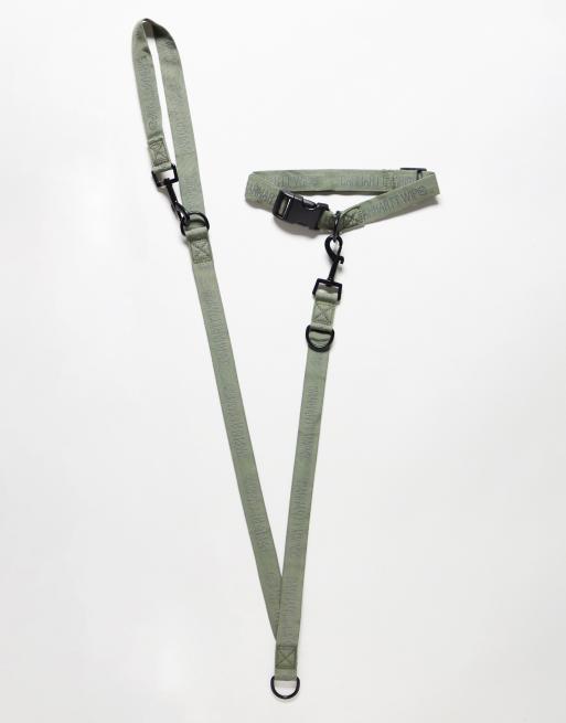 Carhartt WIP tour dog leash and collar