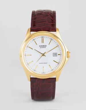 montre casio cuit montre casio cuit