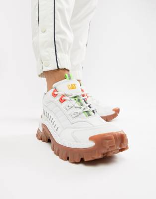 cat sneakers