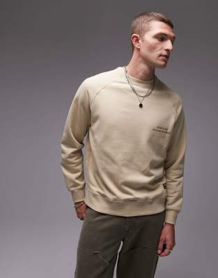 CAT - WWR - Sweat à manches raglan style universitaire - Beige pâle-Blanc