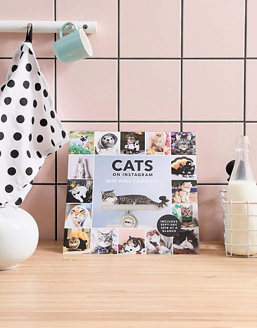 Cats on Instagram: 2019 Wall Calendar