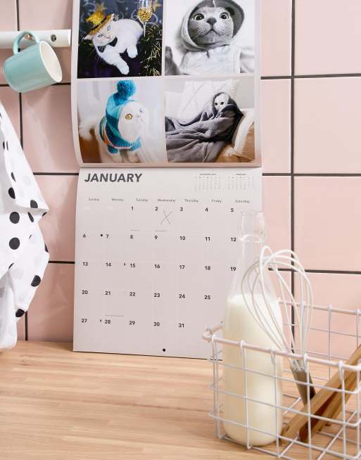 Cats On Instagram 2019 Wall Calendar Asos