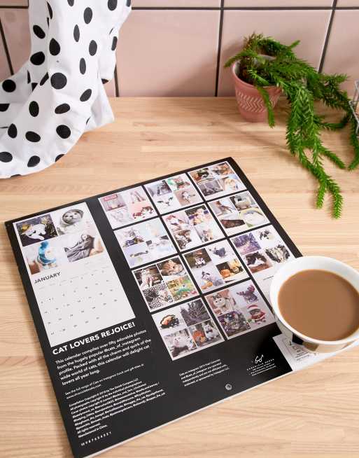 Cats On Instagram 2019 Wall Calendar Asos