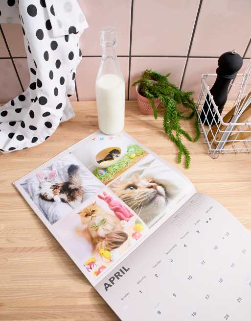 Cats On Instagram 2019 Wall Calendar Asos