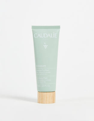 Caudalie - Vinopure - Hautreinigende Maske mit grüner Tonerde, 75 ml-Keine Farbe