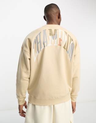 Champion sweater clearance with back logo