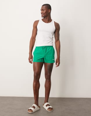 Champion Champion swim shorts in green