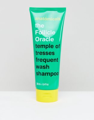 Follicle Champú Oracle Ml The Anatomicals 250 De 34qcAR5Lj