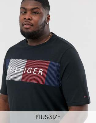 tommy hilfiger big & tall
