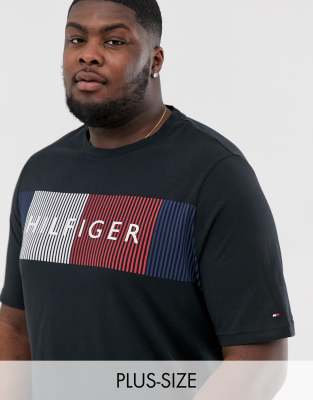 tommy hilfiger big tall