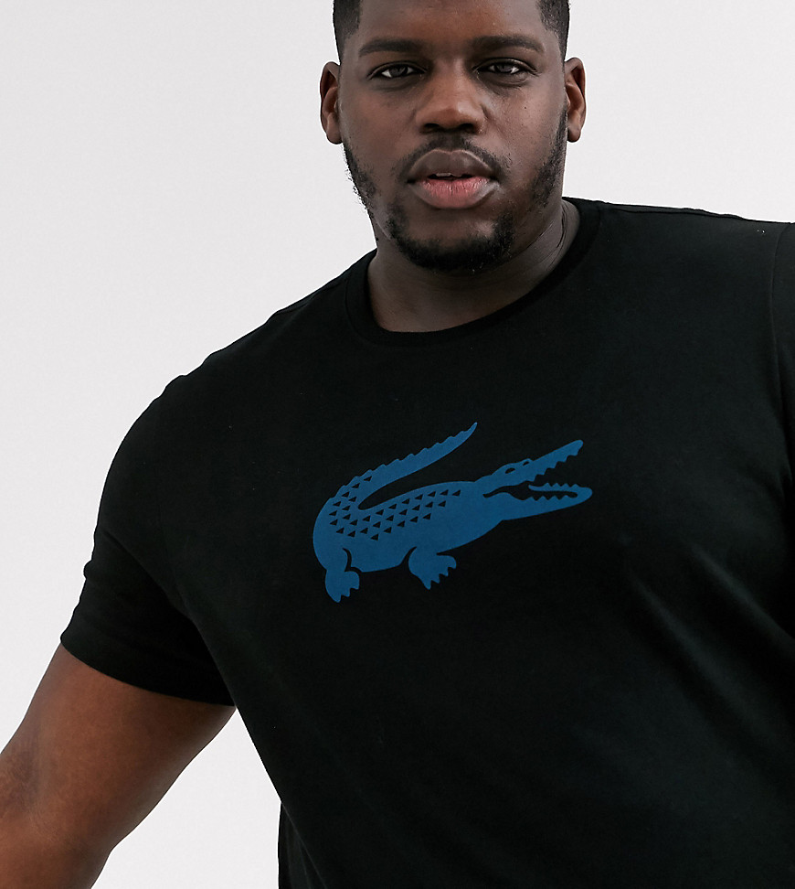 фото Черная футболка с большим логотипом в виде крокодила на груди lacoste-черный lacoste sport