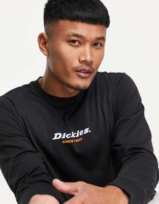 фото Черный лонгслив dickies central 1922-черный цвет