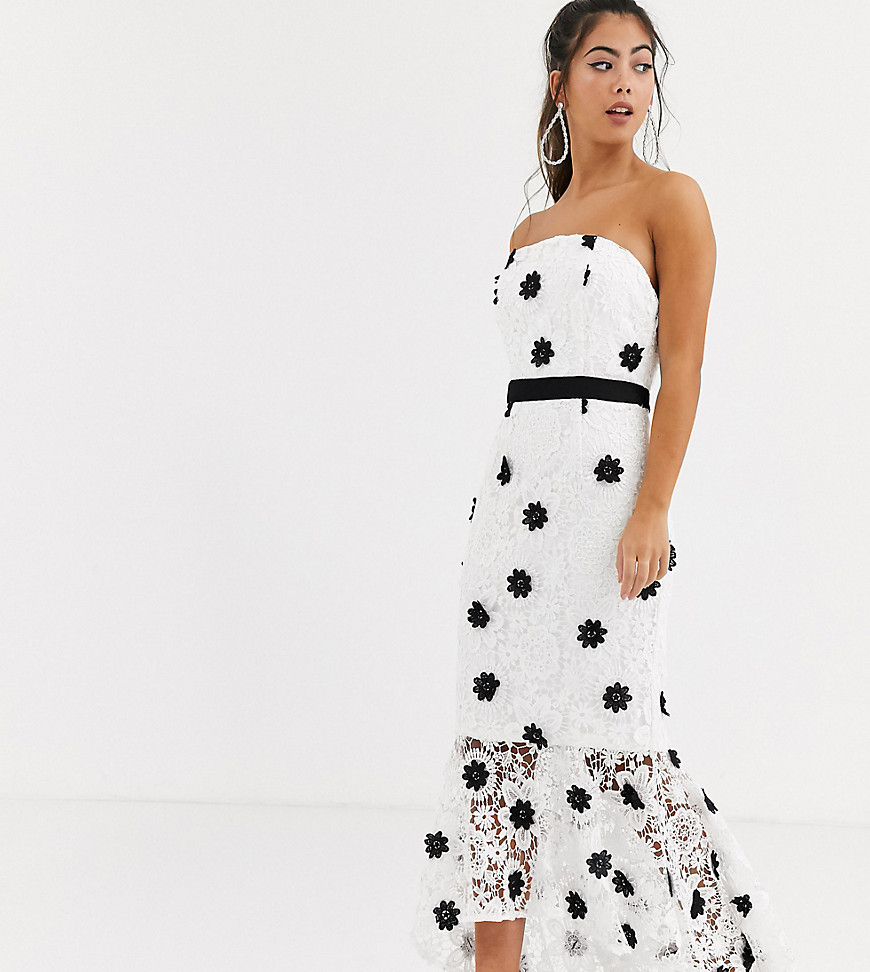 Chi Chi London Petite - Kanten bandeau-jurk met contrasterende zoom in monochroom-Multi