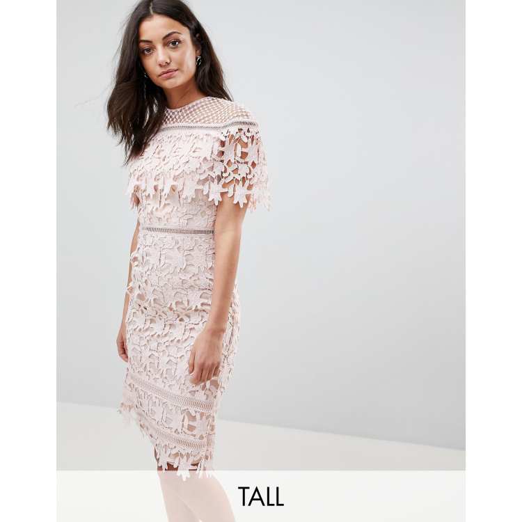 Chi Chi London Tall Lace High Neck Pencil Midi Dress