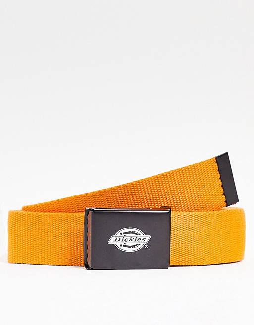 Hombre Cinturones | Cinturón naranja Orcutt de Dickies - ZK81218