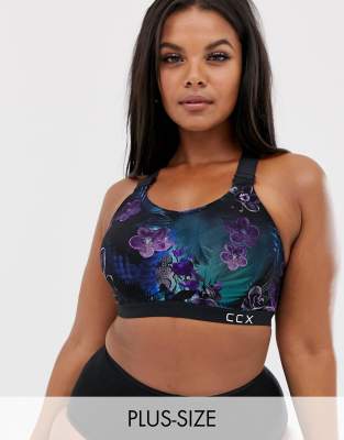 city chic sports bra