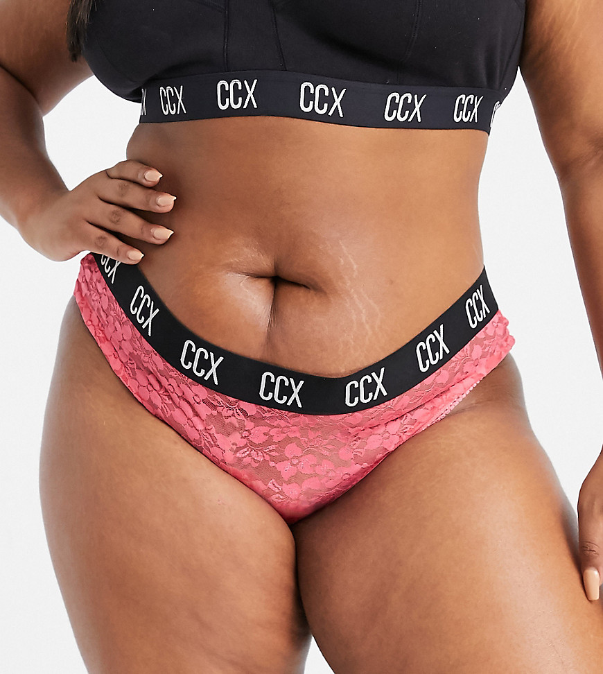 City Chic Lace hipster brief in hot pink