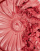 Thumbnail 3 von 4