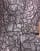Thumbnail 3 of 4