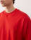 Thumbnail 5 of 5