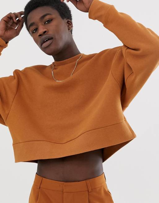 Tan on sale cropped sweatshirt