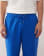 Miniatura 5 z 5