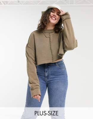 plus size cropped sweatshirt