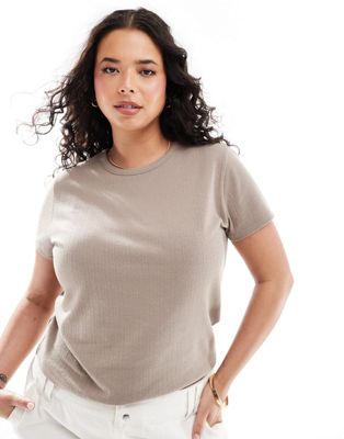 Plus pointelle fitted t-shirt in gray