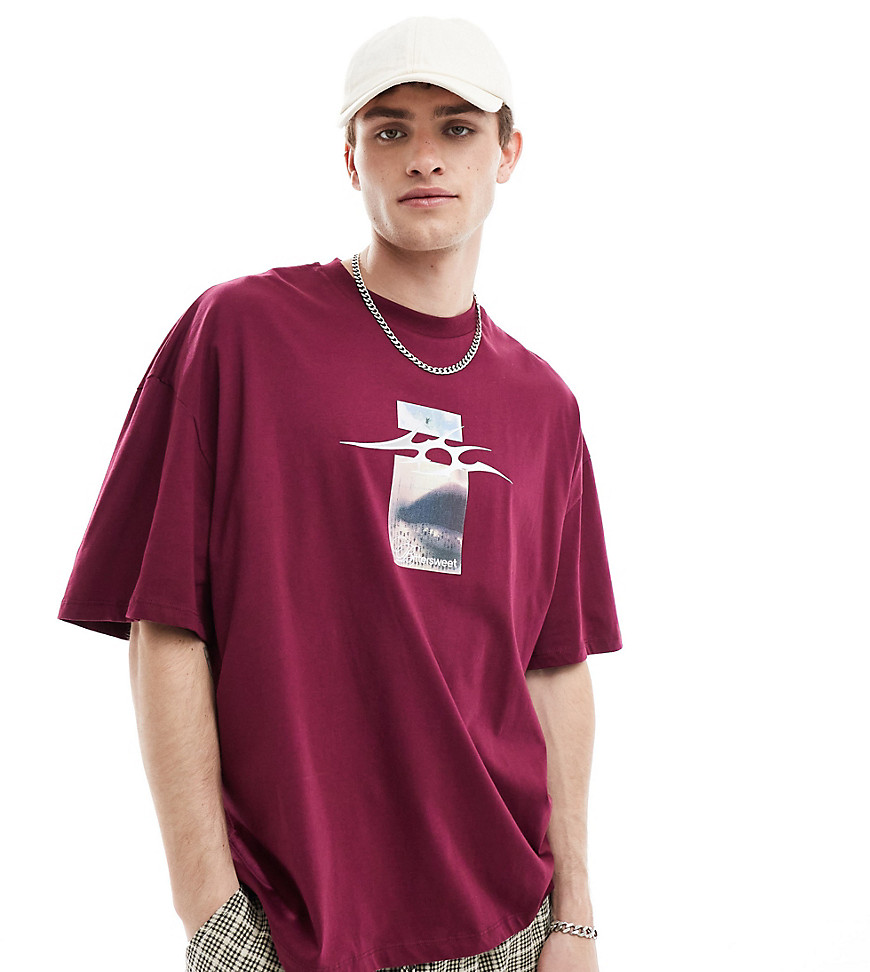 COLLUSION Skater fit t-shirt with photographic print in burgundy-Purple