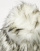 Thumbnail 2 von 4