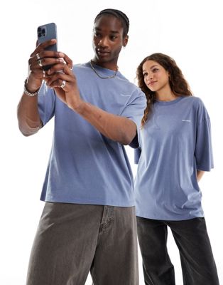 Unisex logo t-shirt in washed blue