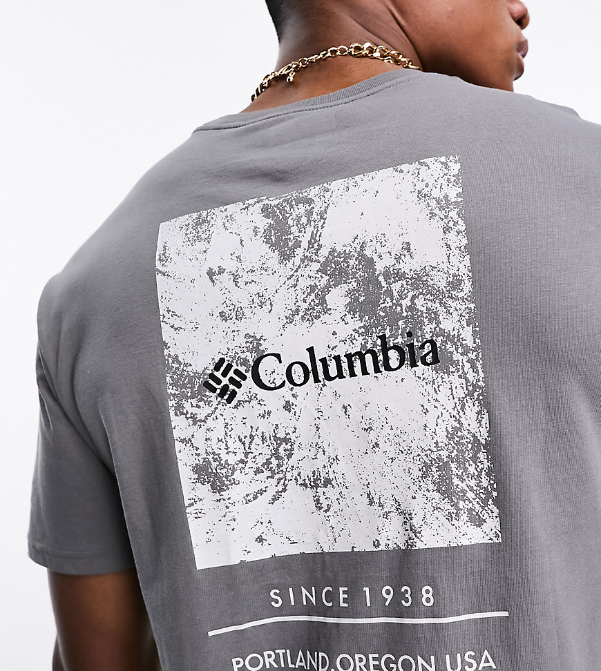 Columbia Barton Springs back print t-shirt in grey Exclusive to ASOS