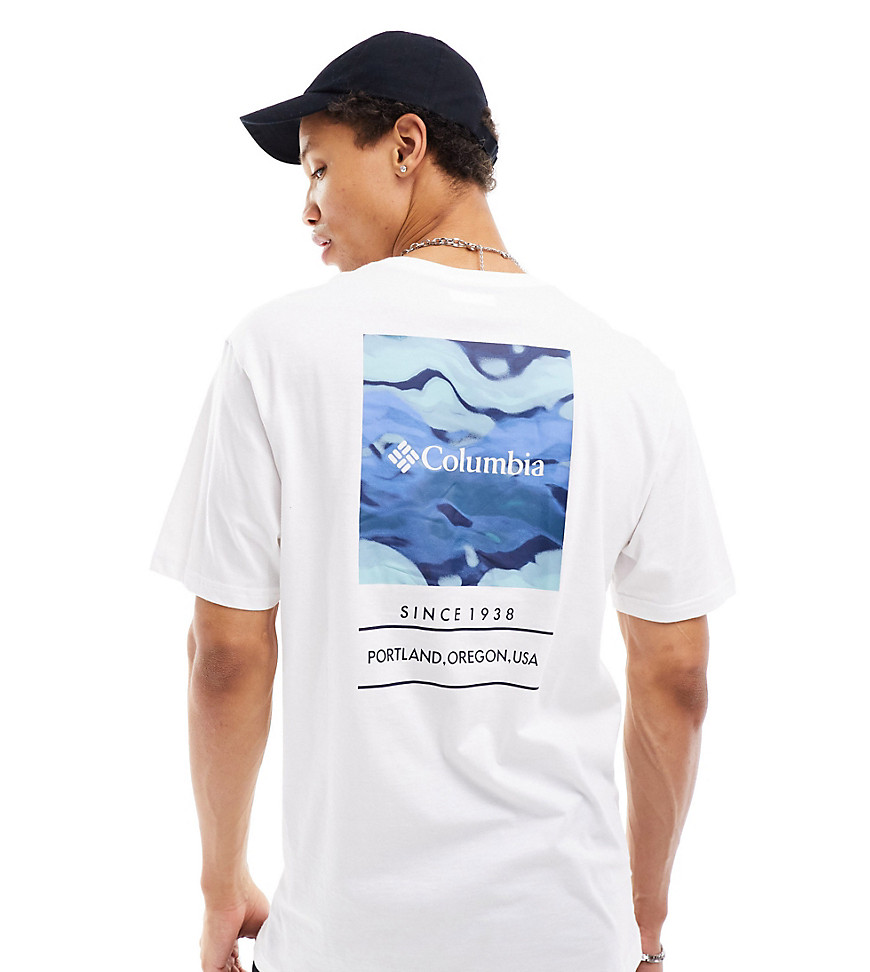 Columbia Barton Springs pattern back print t-shirt in blue multi Exclusive at ASOS-White