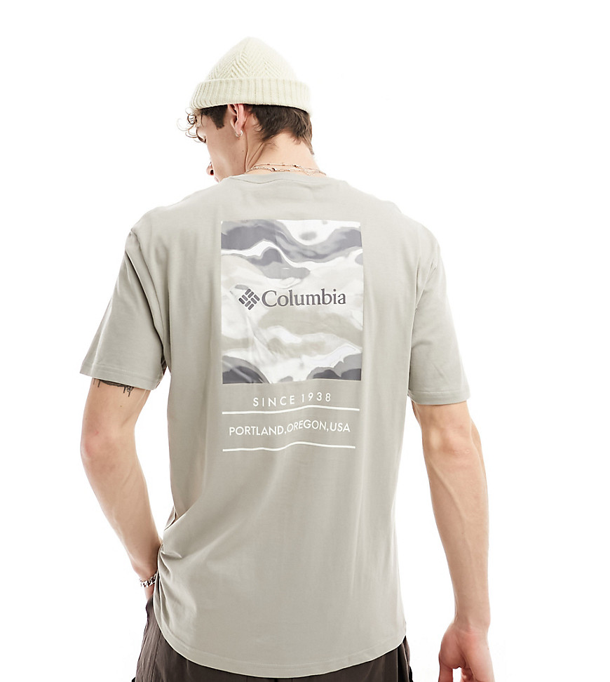 Columbia Barton Springs pattern back print t-shirt in grey Exclusive at ASOS