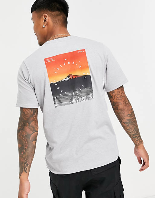  Columbia High Dune back print t-shirt in grey 