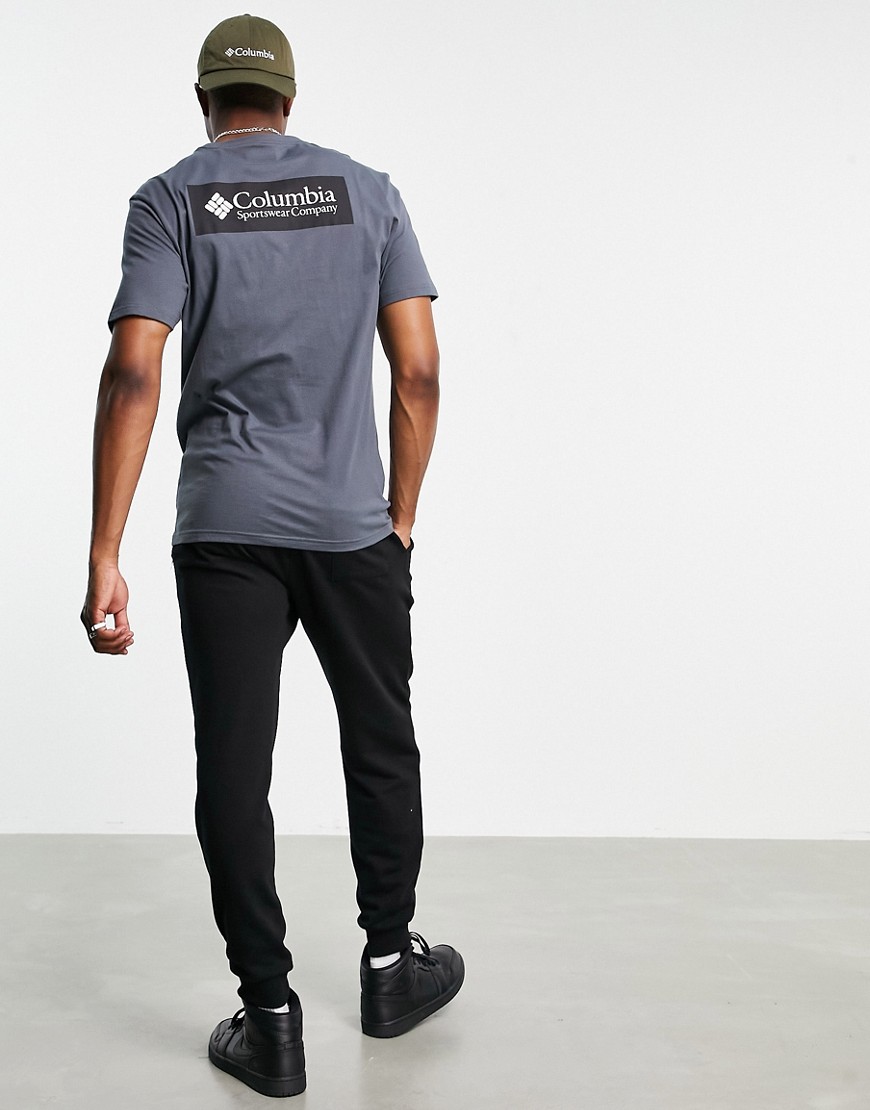 Columbia North Cascades back print T-shirt in gray-Grey